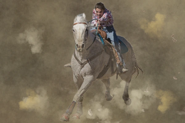 horse| Photographer in Nevada